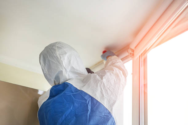 Best Residential Mold Inspection & Testing in North Hornell, NY